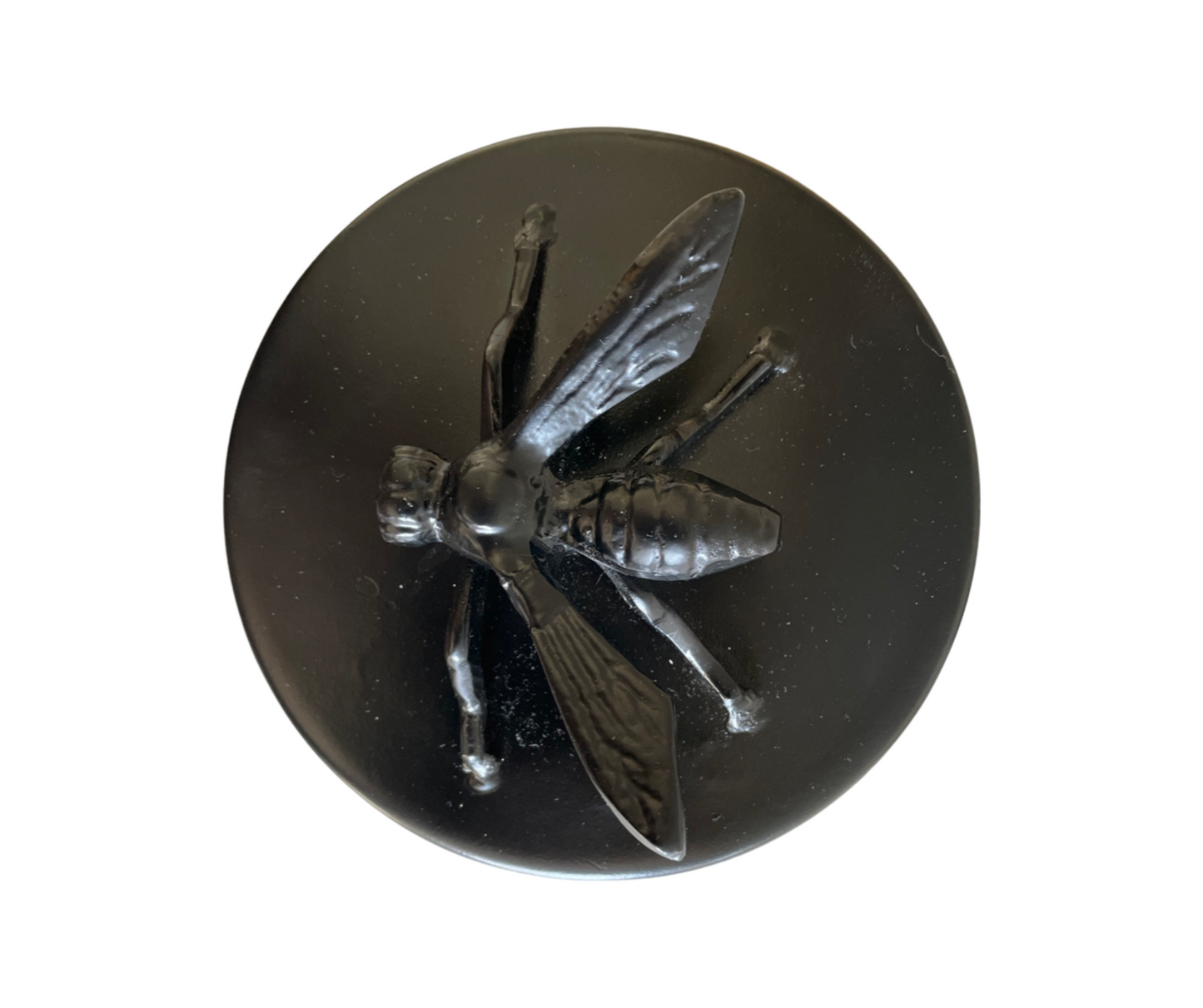 Ology Bee Outdoor Candle – Citronella